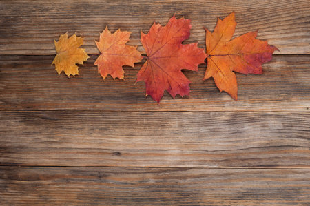 Autumn leaves  over old wooden background with copy space.Creative autumn...