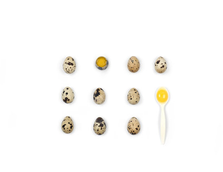 Collection of quail eggs. Healthy food concept.