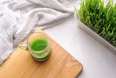 Wheat Grass on the dark  background. Lifestyle concept.Top view. Horizontal orientation with space for text.の写真素材