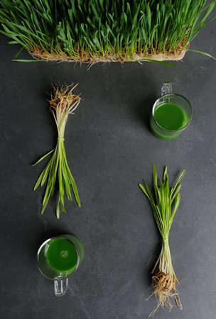 Green wheat grass juice in the glass cup  over dark gray background.Juice from wheat grass...