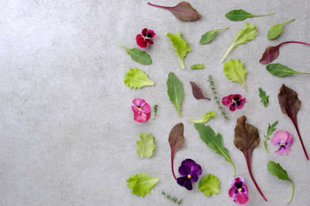 Edible flowers with salad leafs on the gray background.  Healthy food background.Flat lay in horizontal orientation.の写真素材