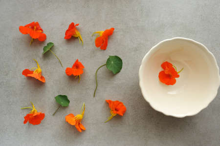 Nasturtium flowers over background and  in the plate for decorating dishes.  Flat lay, horizontal with space for text.の写真素材