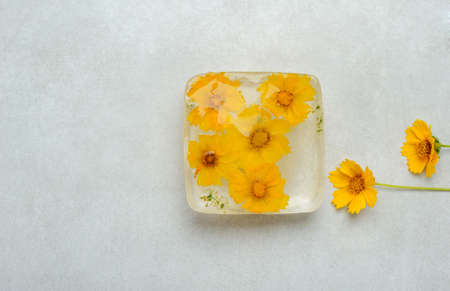 Frozen  flowers  inside the  ice cube on the gray background. Image with yellow  flowers. Horizontal with space for text.の写真素材