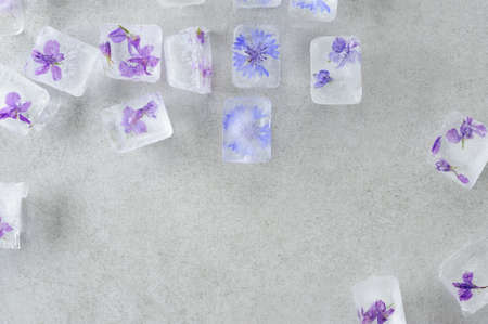 Edible summer flowers frozen in ice cubes on the gray background. Floral ice background. Flat lay, horizontal.の写真素材