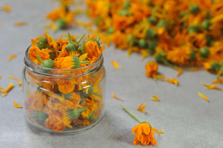 Orange Calendula officinalis or marigold flowers in the glass jar on the gray background.の写真素材