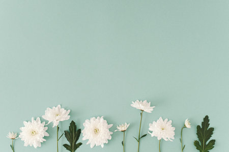 CreativeÂ  layout made with bright bloom whiteÂ  flowersÂ  on the soft blue background....