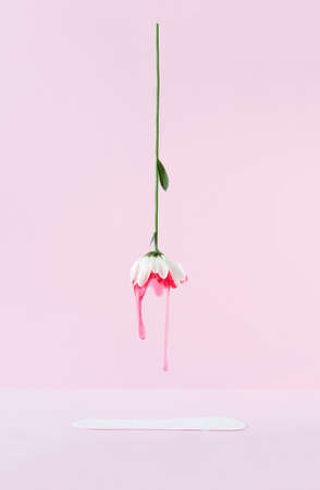 Creative arrangement of white flower and menstrual padÂ  against pink pastel background. MinimalÂ  still life layout. WomanÂ  gynecological menstruation days concept.の写真素材