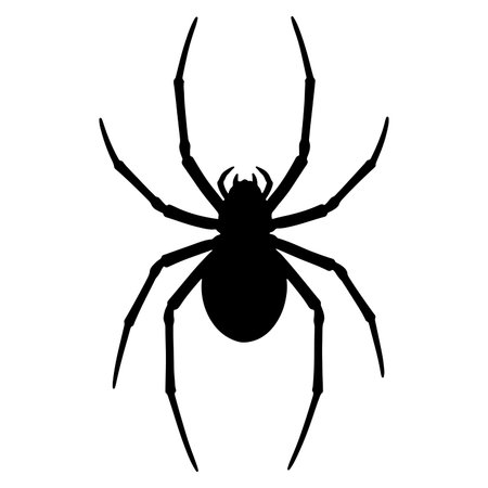 Black silhouette of a spider isolated on a white background perfect for halloween themesのイラスト素材