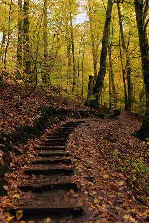 Autumn at the Seven Lakes National Park, Turkeyの写真素材