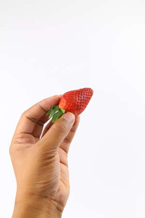 Hand hold Fresh Strawberries isolated on white background. Copy Space conceptの写真素材