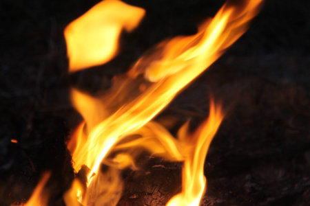 Closeup Fire Burning firewood. Abstract Flame. The dying embers. Soft Focus. Blur background