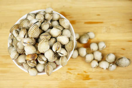 Close up Cockles Shells seafood on a table. Prepareration Cooking Conceptの写真素材