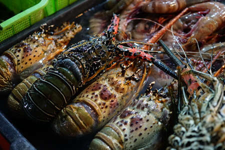 Close up Fresh Lobster on Ice for Sale at Local marketの写真素材