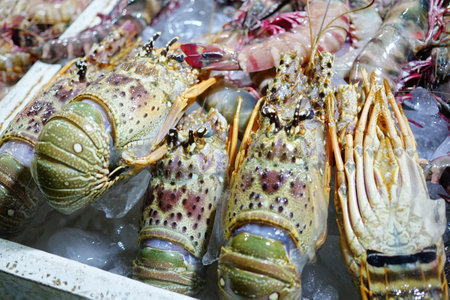 Close up Fresh Lobster on Ice for Sale at Local marketの写真素材