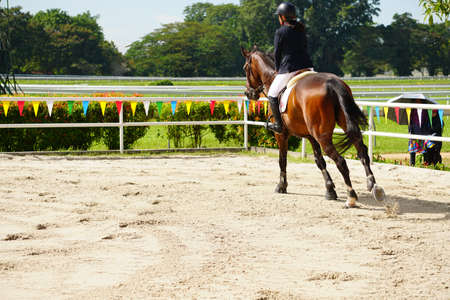 Equestrian sport - a young girl is riding a horseの写真素材