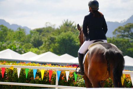 Equestrian sport - a young girl is riding a horse