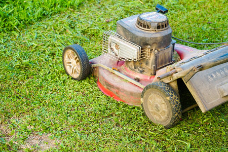 A gardener using lawn mower for cutting grass