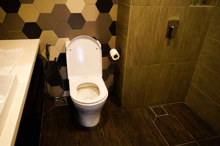 ceramic toilet bowl inside modern houseの写真素材