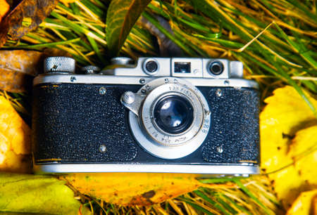 Retro photo camera on ground with leafs and grassの写真素材