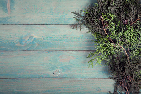 Branch of thuja on old wooden background