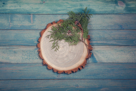 Circle wooden board with leaves of thuja on blue wooden table