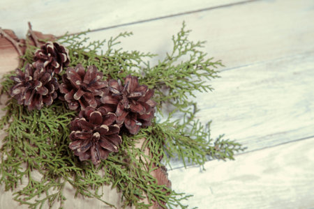 Wooden board with leaves of thuja and pine cones on white wooden tableの写真素材