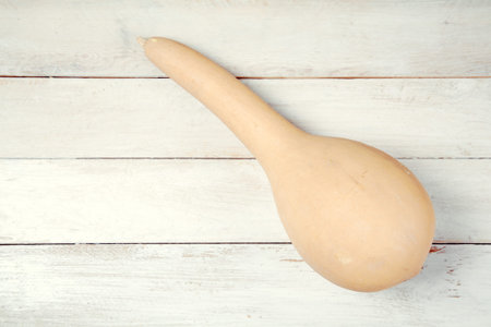 Long decorative pumpkin on white backgroudの写真素材