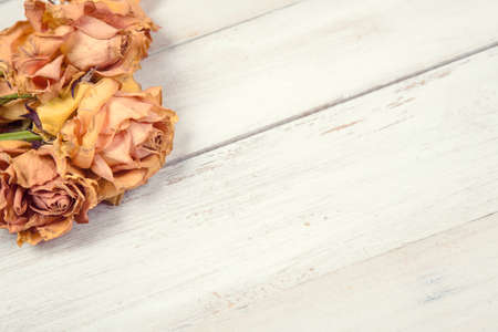 Bunch of dried yellow roses on old white wooden backgroudの写真素材