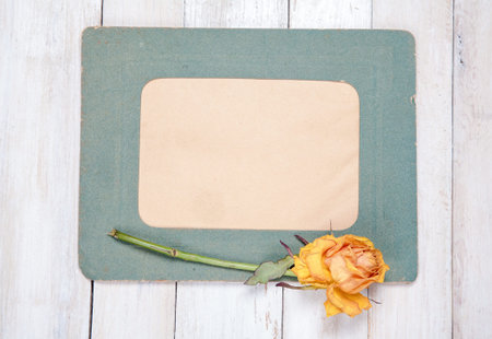 Retro photo frame with dry rose on white wooden backgroundの写真素材
