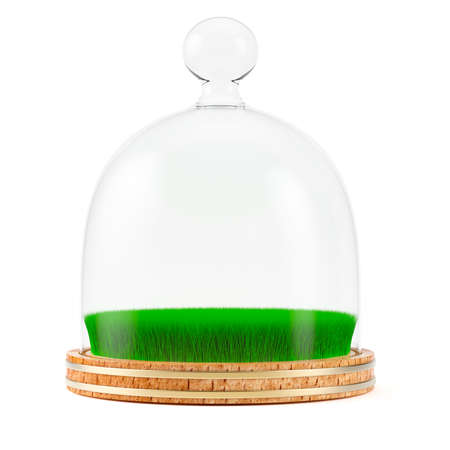 Green grass under glass dome on wooden plate isolated on white background. 3d renderingの写真素材