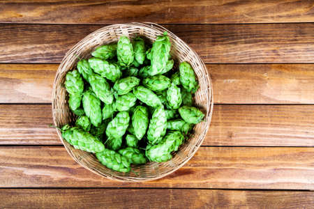 Fresh hops in a backet on wooden backgroundの写真素材