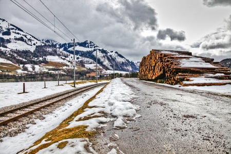 Cut timber laying beside a road and rail track  in rural Switzerlandの写真素材
