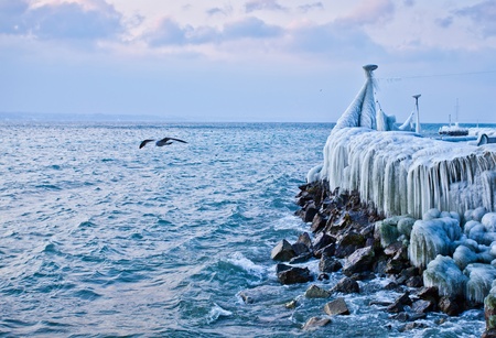 Frozen lakefront at Lake Geneva, Switzerland in the town of Nyonの写真素材