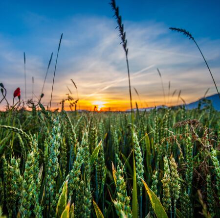 Sunrise in rural Switzerlandの写真素材