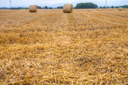Wheat bale after harvesting season in Switzerlandの写真素材