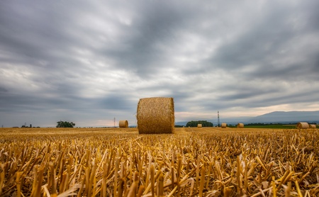 Wheat bale after harvesting season in Switzerlandの写真素材