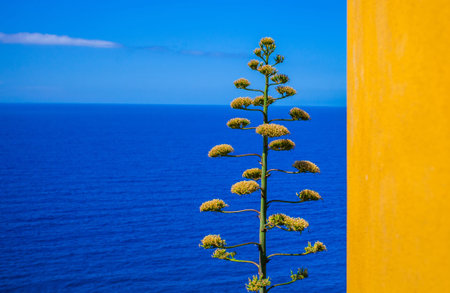 Bright yellow wall and the Mediterranean sea at Corniglia, Cinque Terre, Italyの写真素材