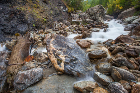 The alpine mountain stream of Dora di Ferret at Val Veny, Italy