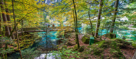 Blausee, Switzerland, - The Bridge