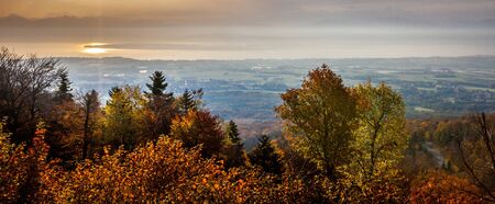 Forest autumn in Switzerlandの写真素材
