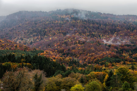 The Jura mountain range ia wet, overcast morningの写真素材