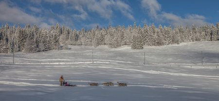 30th November 2012, La Givrine, St Cergue, Switzerland. Dog sledding at Jura Mountain, Switzerland.のeditorial素材