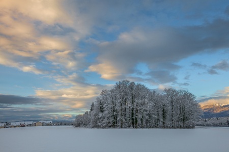 Winter landscape in Geneva, Switzerland after a snow stormの写真素材