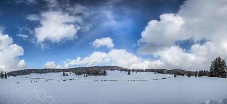 Winter at Jura mountain range, La Givrine, Switzerland.の写真素材