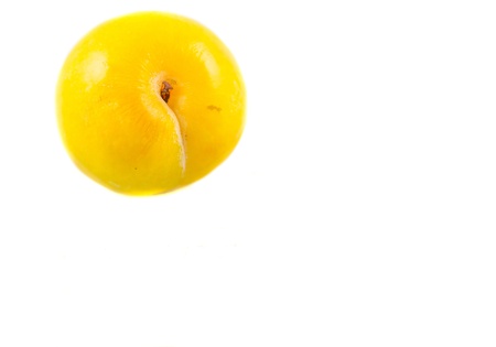 Prunus domestica or the yellow mirabelle prune  plum with white backgroundの写真素材