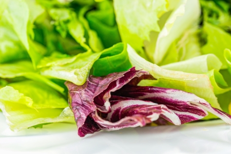 Salad and other vegetables close up viewの写真素材