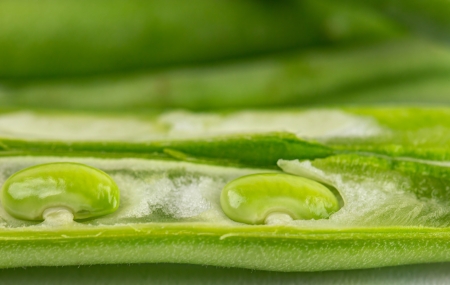 Green beans close up viewの写真素材