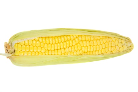 A single ear of corn over white backgroundの写真素材