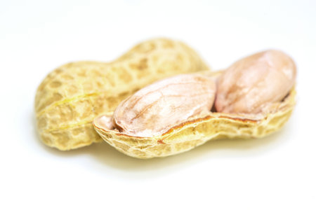  Peanuts or ground nuts over white background