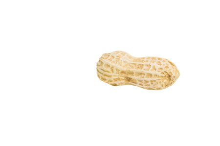  Peanuts or ground nuts over white background